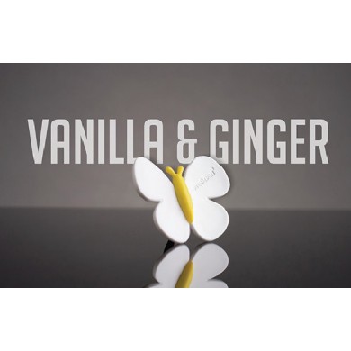 Odorizant Auto Fluturas - Vanilla & Ginger