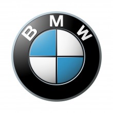 Ornament superior parbriz BMW OE cod 51317166841